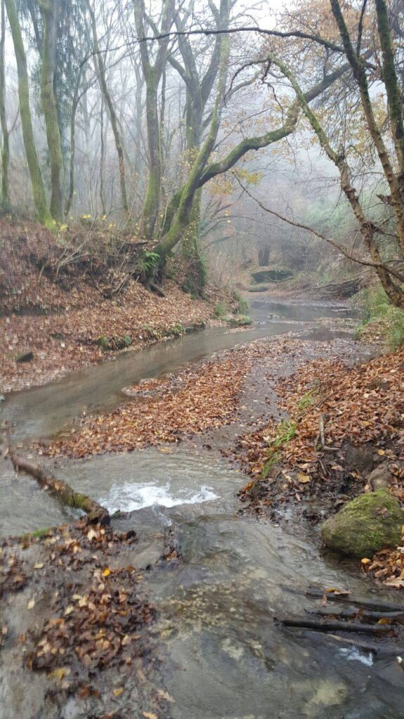 via francigena variante macchiano campagnano di roma 0437